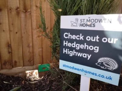 Hedgehog Highway image