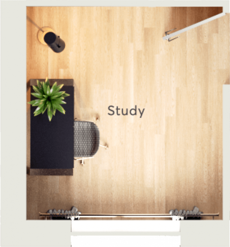 The study image